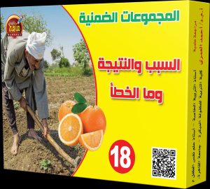 بطاقات " السبب والنتيجة، وما الخطأ"